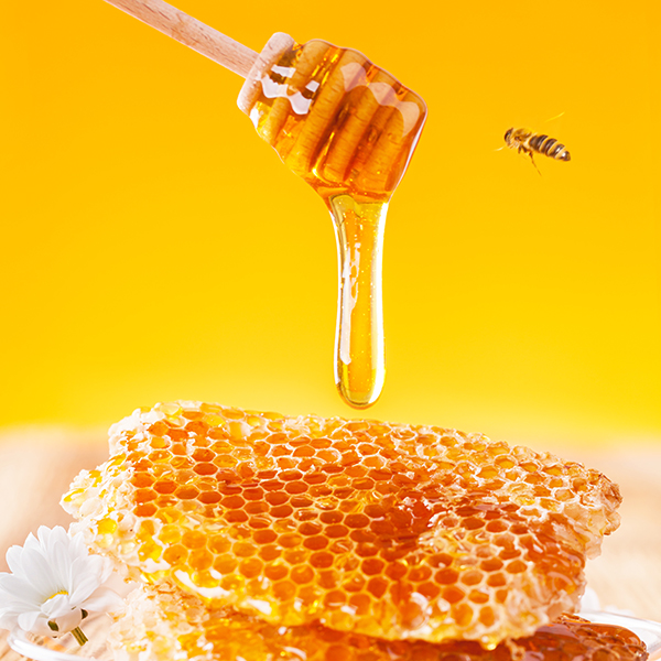 Fresh honey with dipper